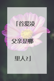 谷爱凌父亲是哪里人?