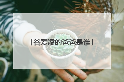 谷爱凌的爸爸是谁