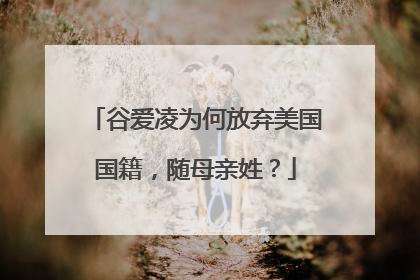 谷爱凌为何放弃美国国籍,随母亲姓?