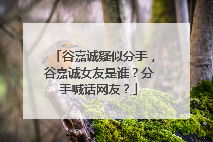 谷嘉诚疑似分手,谷嘉诚女友是谁?分手喊话网友?