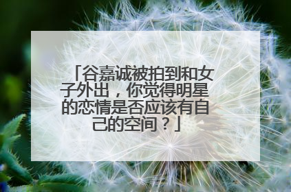 谷嘉诚被拍到和女子外出,你觉得明星的恋情是否应该有自己的空间?