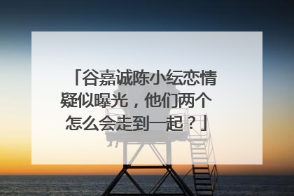 谷嘉诚陈小纭恋情疑似曝光，他们两个怎么会走到一起？