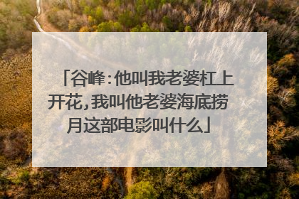 谷峰:他叫我老婆杠上开花,我叫他老婆海底捞月这部电影叫什么