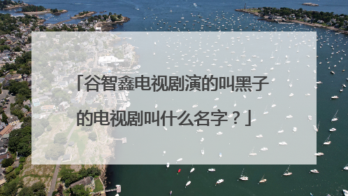 谷智鑫电视剧演的叫黑子的电视剧叫什么名字?