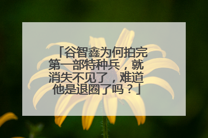 谷智鑫为何拍完第一部特种兵，就消失不见了，难道他是退圈了吗？