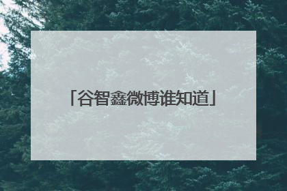 谷智鑫微博谁知道
