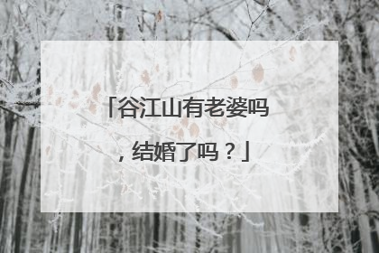 谷江山有老婆吗,结婚了吗?