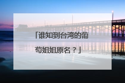 谁知到台湾的葡萄姐姐原名？