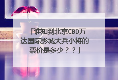 谁知到北京CBD万达国际影城大兵小将的票价是多少??