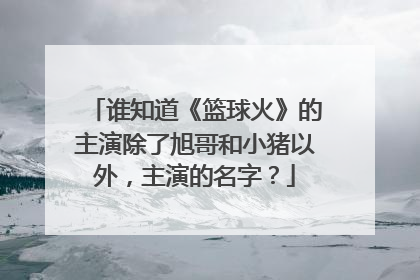 谁知道《篮球火》的主演除了旭哥和小猪以外,主演的名字?