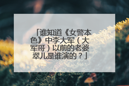 谁知道《女警本色》中李大军(大军哥)以前的老婆翠儿是谁演的?