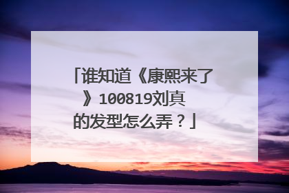 谁知道《康熙来了》100819刘真的发型怎么弄?