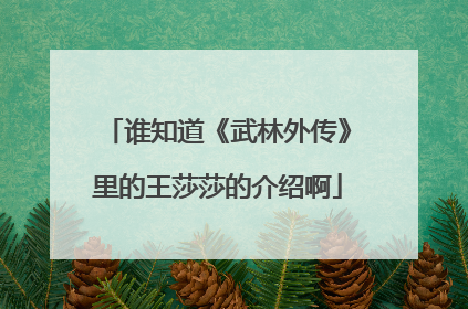 谁知道《武林外传》里的王莎莎的介绍啊