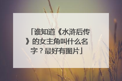 谁知道《水浒后传》的女主角叫什么名字?最好有图片