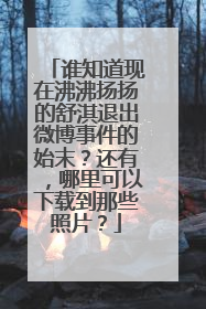 谁知道现在沸沸扬扬的舒淇退出微博事件的始末?还有,哪里可以下载到那些照片?