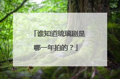 谁知道琉璃剧是哪一年拍的？