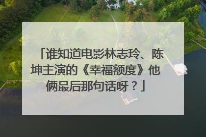 谁知道电影林志玲、陈坤主演的《幸福额度》他俩最后那句话呀?