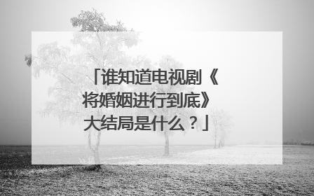 谁知道电视剧《将婚姻进行到底》大结局是什么？