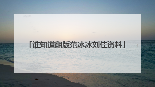 谁知道翻版范冰冰刘佳资料