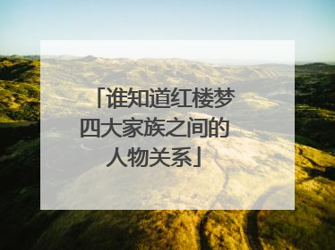 谁知道红楼梦四大家族之间的人物关系