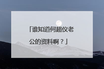 谁知道何超仪老公的资料啊？