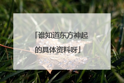 谁知道东方神起的具体资料呀