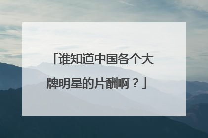 谁知道中国各个大牌明星的片酬啊？
