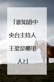 谁知道中央台主持人王梁是哪里人?