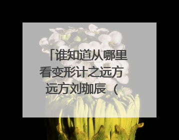 谁知道从哪里看变形计之远方远方刘珈辰 (完整版)下集