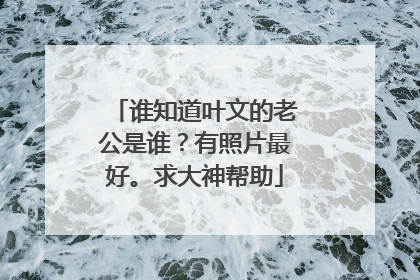 谁知道叶文的老公是谁？有照片最好。求大神帮助