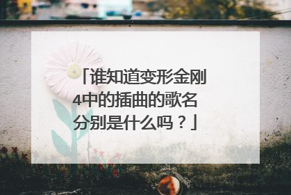 谁知道变形金刚4中的插曲的歌名分别是什么吗？