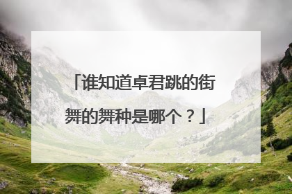 谁知道卓君跳的街舞的舞种是哪个？