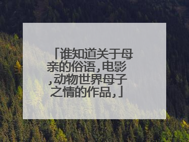 谁知道关于母亲的俗语,电影,动物世界母子之情的作品,