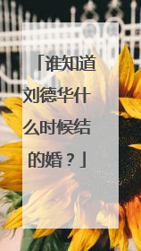谁知道刘德华什么时候结的婚?