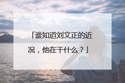 谁知道刘文正的近况,他在干什么?
