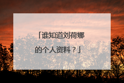 谁知道刘荷娜的个人资料？