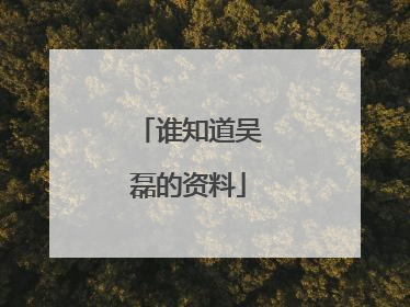 谁知道吴磊的资料