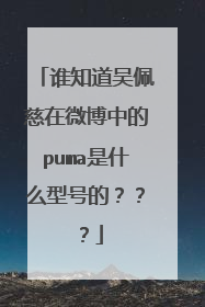 谁知道吴佩慈在微博中的puma是什么型号的???