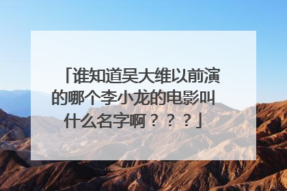 谁知道吴大维以前演的哪个李小龙的电影叫什么名字啊？？？
