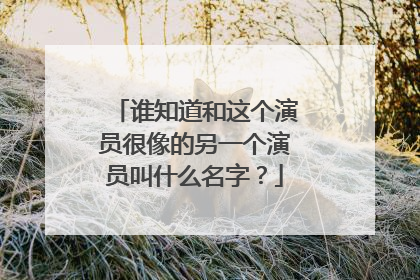 谁知道和这个演员很像的另一个演员叫什么名字?