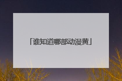 谁知道哪部动漫黄