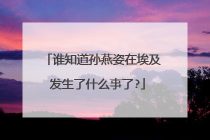 谁知道孙燕姿在埃及发生了什么事了?