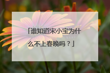 谁知道宋小宝为什么不上春晚吗?