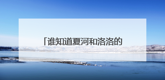 谁知道夏河和洛洛的全部爱情过程，麻烦说一下，详细一点。