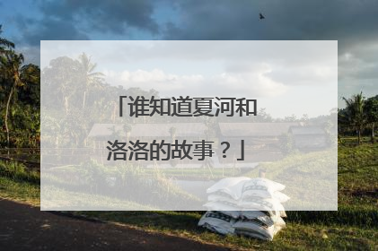谁知道夏河和洛洛的故事?