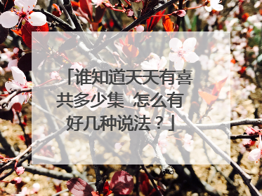 谁知道天天有喜共多少集 怎么有好几种说法?