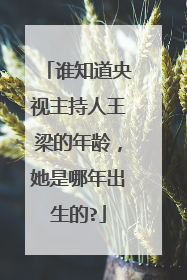 谁知道央视主持人王梁的年龄，她是哪年出生的?