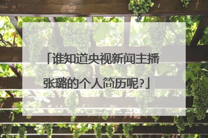 谁知道央视新闻主播张璐的个人简历呢?