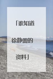 谁知道徐静蕾的资料