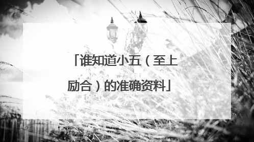 谁知道小五(至上励合)的准确资料